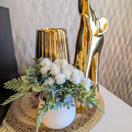 Chorwacka Garden By Bookinghost *